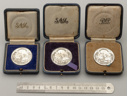 Witwatersrand Agricultural Society Rand Easter Show Sterling Silver Medallions (Set of 3) - Barry Orpen, Bar Circle Brahmans